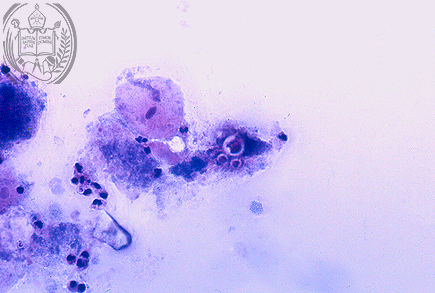 Fig. 16-A3