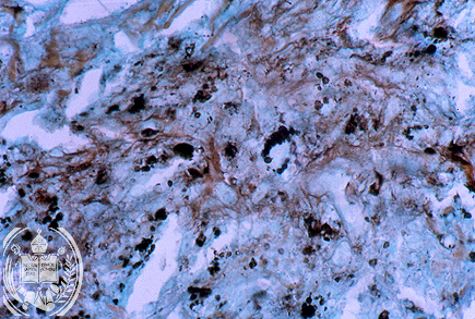 Fig. 48-A4