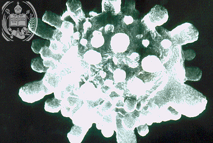 Fig. 50-A3